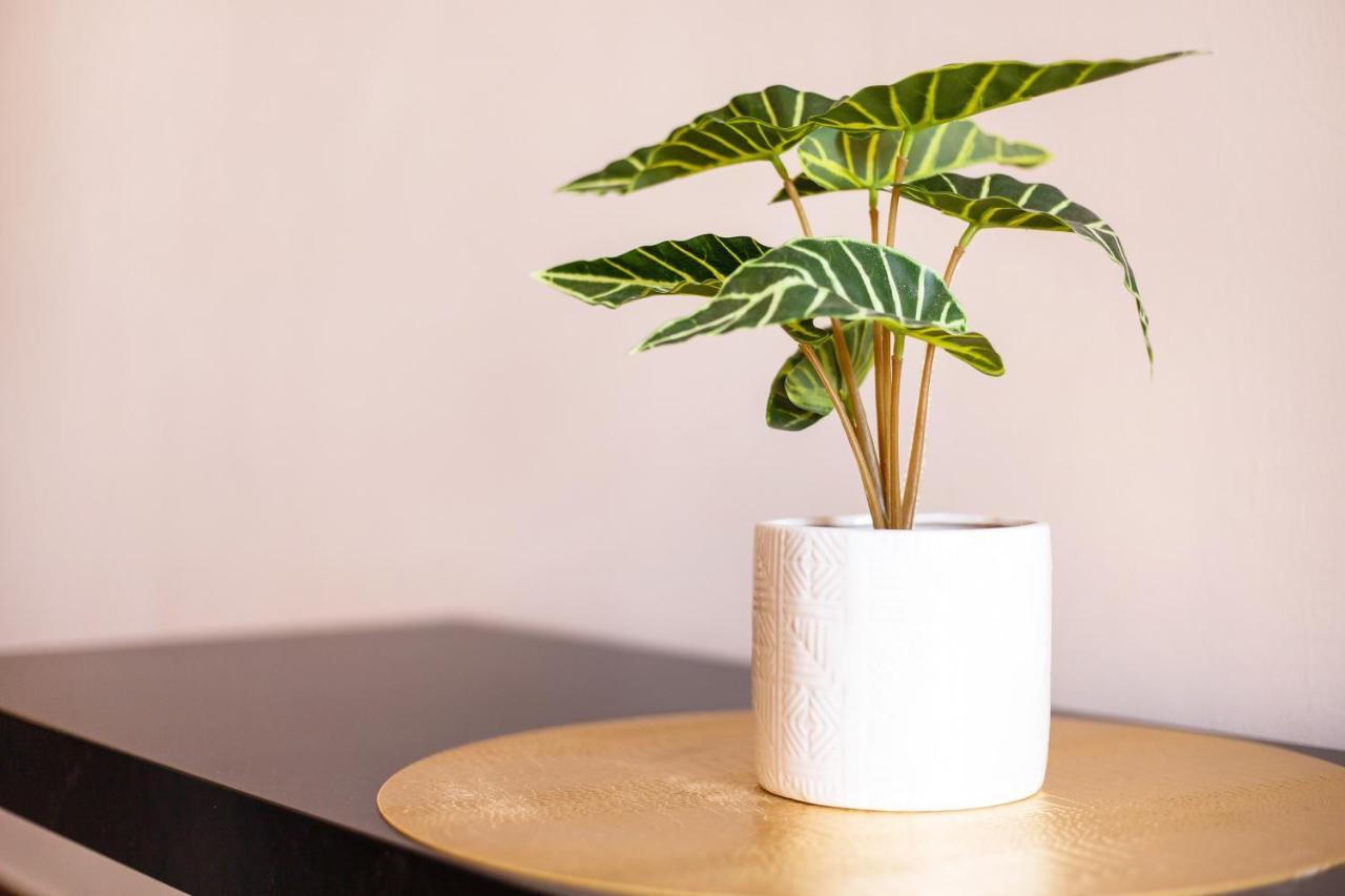 Apartamento Dayely Corralejo Exteriör bild